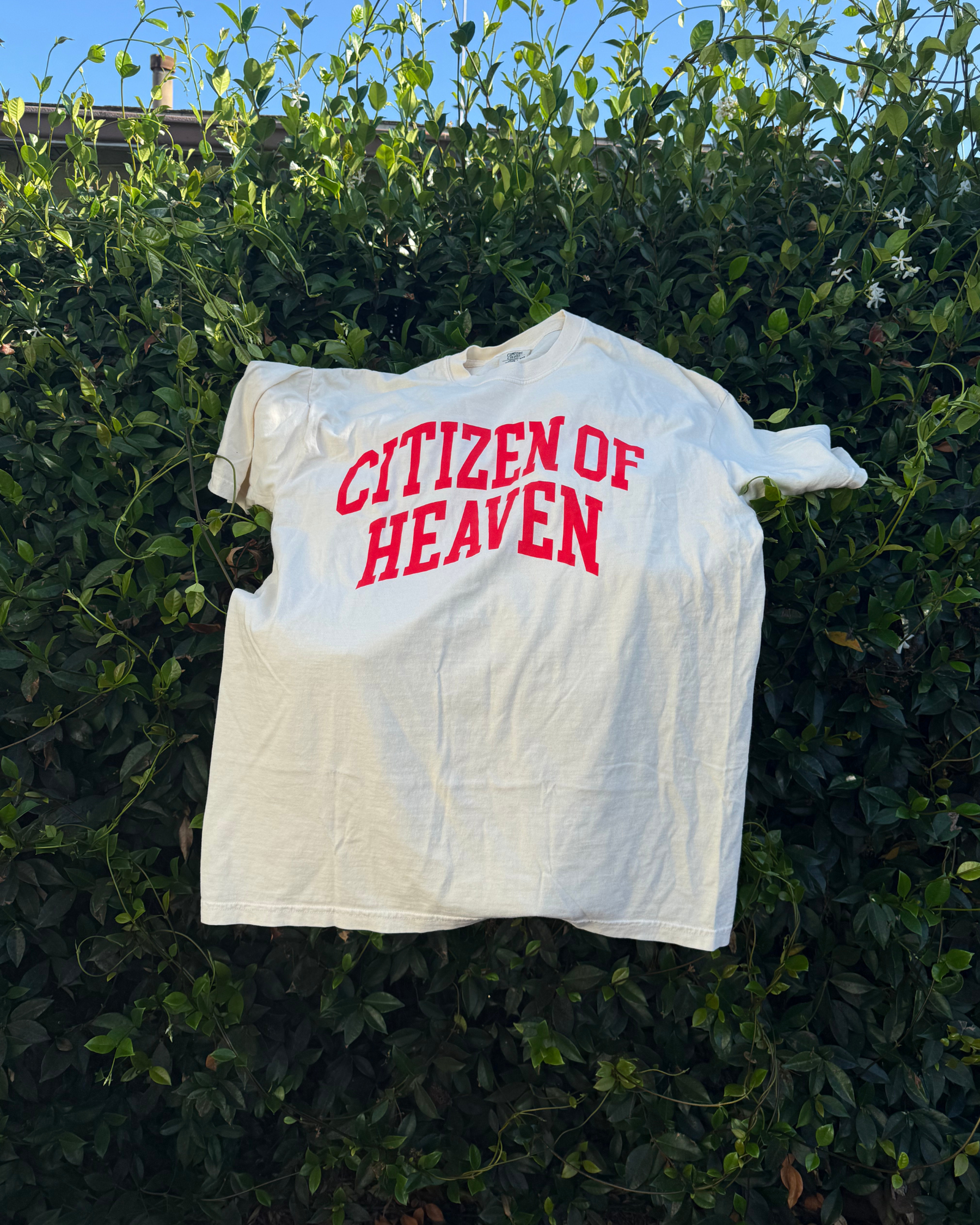 Citizen of Heaven T-Shirt